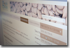 Content Management Services